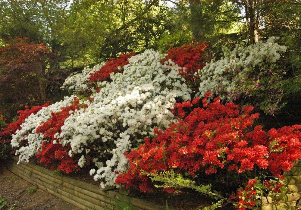 Beechwood Inn Clayton Dış mekan fotoğraf